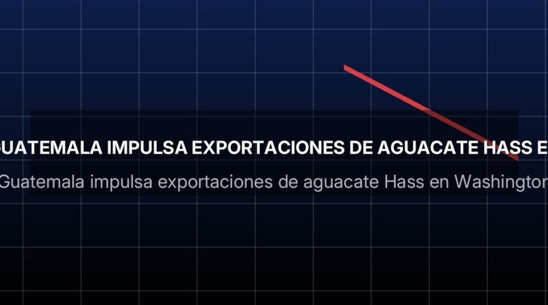 Guatemala impulsa exportaciones de aguacate Hass en Washington