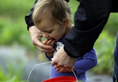 A Surge of Infants in the White House Amid Declining Birthrates