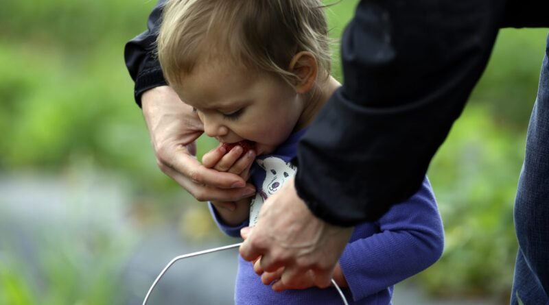 A Surge of Infants in the White House Amid Declining Birthrates