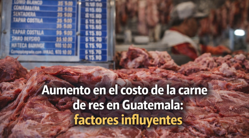 Aumento en el costo de la carne de res en Guatemala: factores influyentes