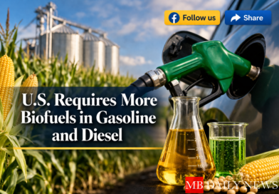 I can generate the featured image (800x533, centered title + Follow/Share styling) Or create internal linking articles (energy + economy cluster for SEO growth)