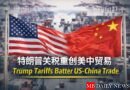 特朗普关税重创美中贸易