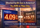 Gas prices above $4 in the U.S. are rising, but drivers in some global cities are paying up to $15 per gallon.