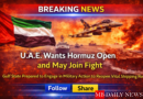 UAE Hormuz reopening