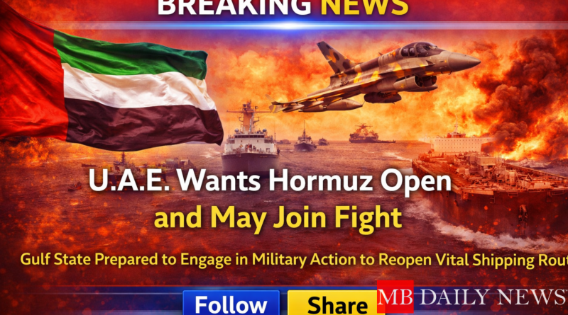 UAE Hormuz reopening