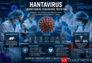 Hantavirus Cruise Ship Outbreak 2026
