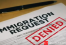 New Dashboard Provides Clarity on USCIS Backlogs and Trends