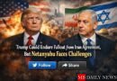 genera una imagen con este tema>Trump Could Endure Fallout from Iran Agreement, But Netanyahu Faces Challenges, colocalo en el centro de la imagen con tamaño adecuado, bajo del tema coloca 2 botones de follow y share